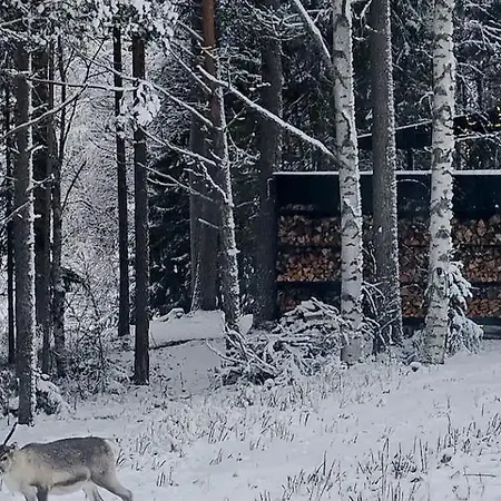 Kaunis Huvila !alennus What Aspp Kautta!! Tarkista Numero Kuvasta! Feriehus Rovaniemi